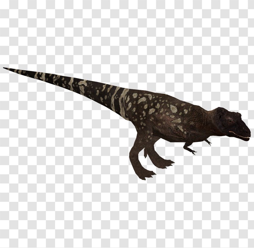 Tyrannosaurus Wiki Dinosaur Reptile Velociraptor - Library Transparent PNG