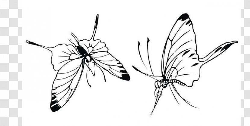 Monarch Butterfly Gongbi 当代工笔人物画精品心解: 何家英 Painter Sketch - Art - Painting Transparent PNG