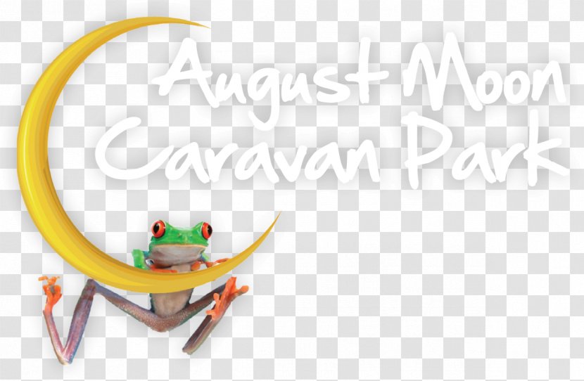 Innisfail Logo Tourism Brand - Moonfrog Transparent PNG