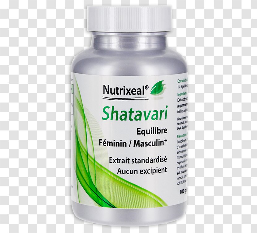 Shatavari Product Asparagus Standardization Herb - Racemosus Transparent PNG