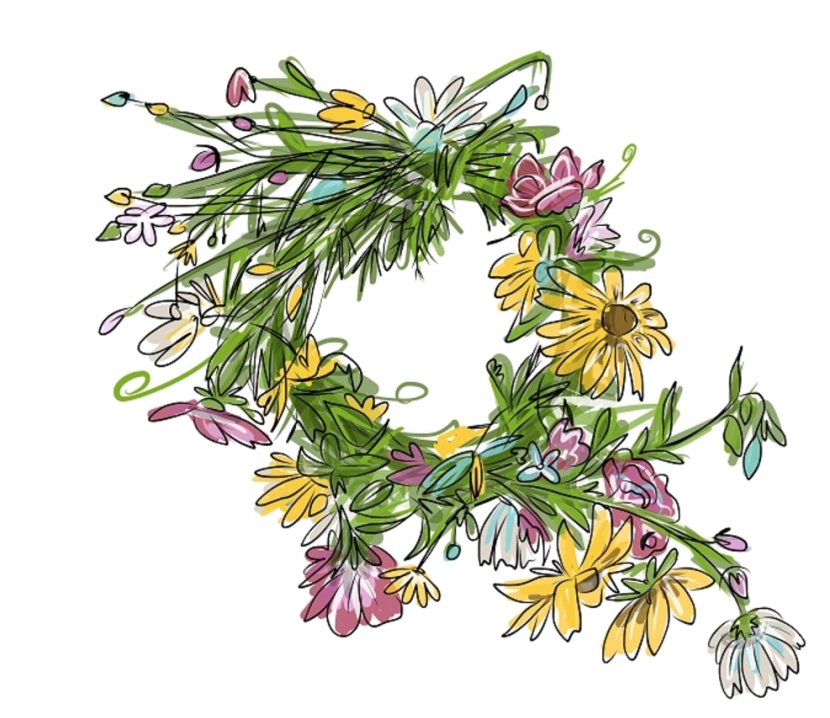 Floral Design Sketch - Plant Transparent PNG