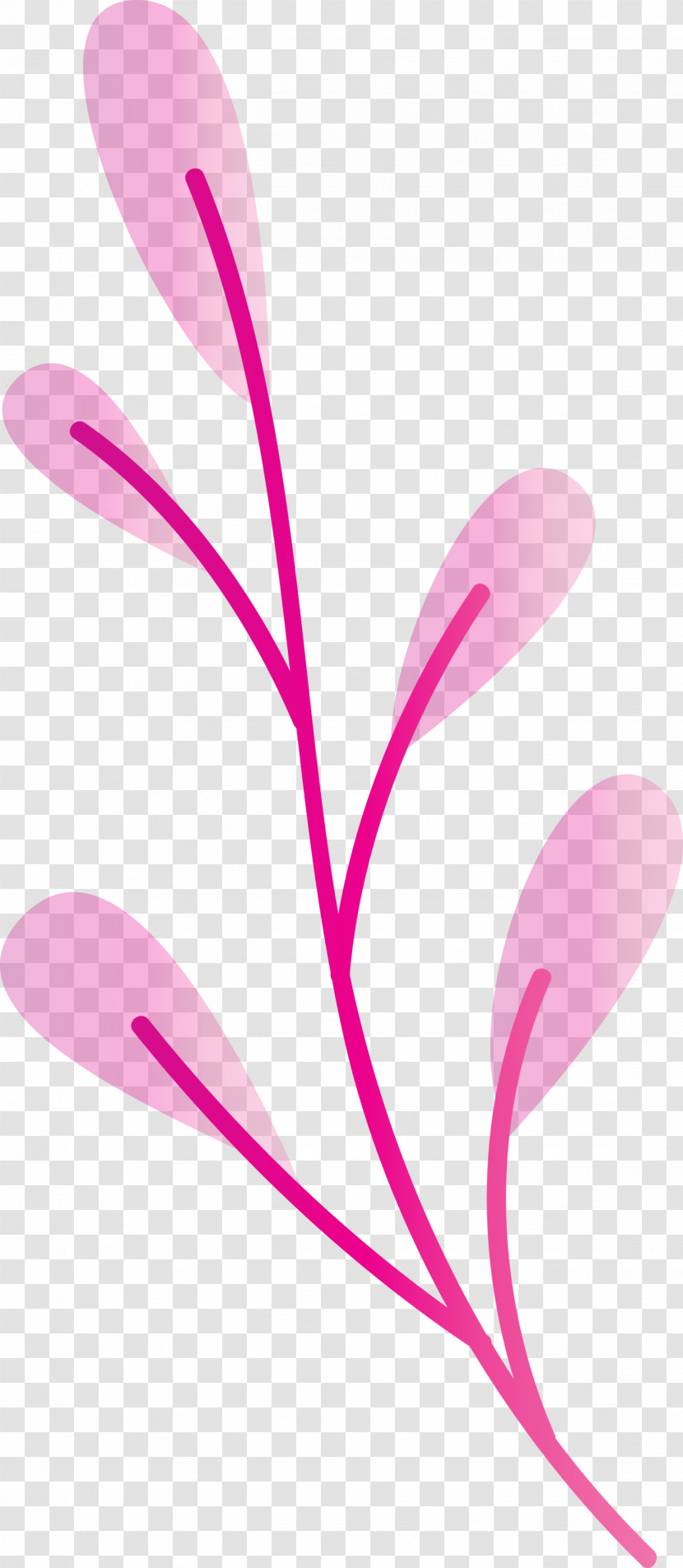Plant Stem Petal Leaf Branch Pink M Transparent PNG