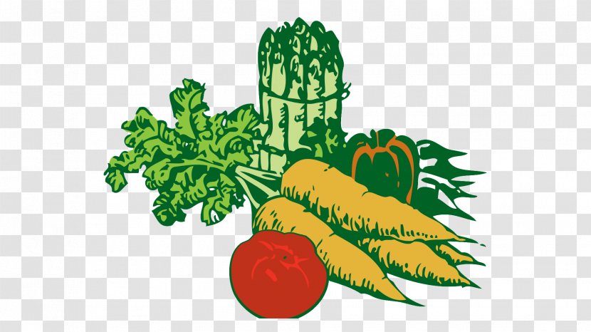 Veggie Burger Leaf Vegetable Fruit Clip Art - Tomato - Hand-painted Transparent PNG