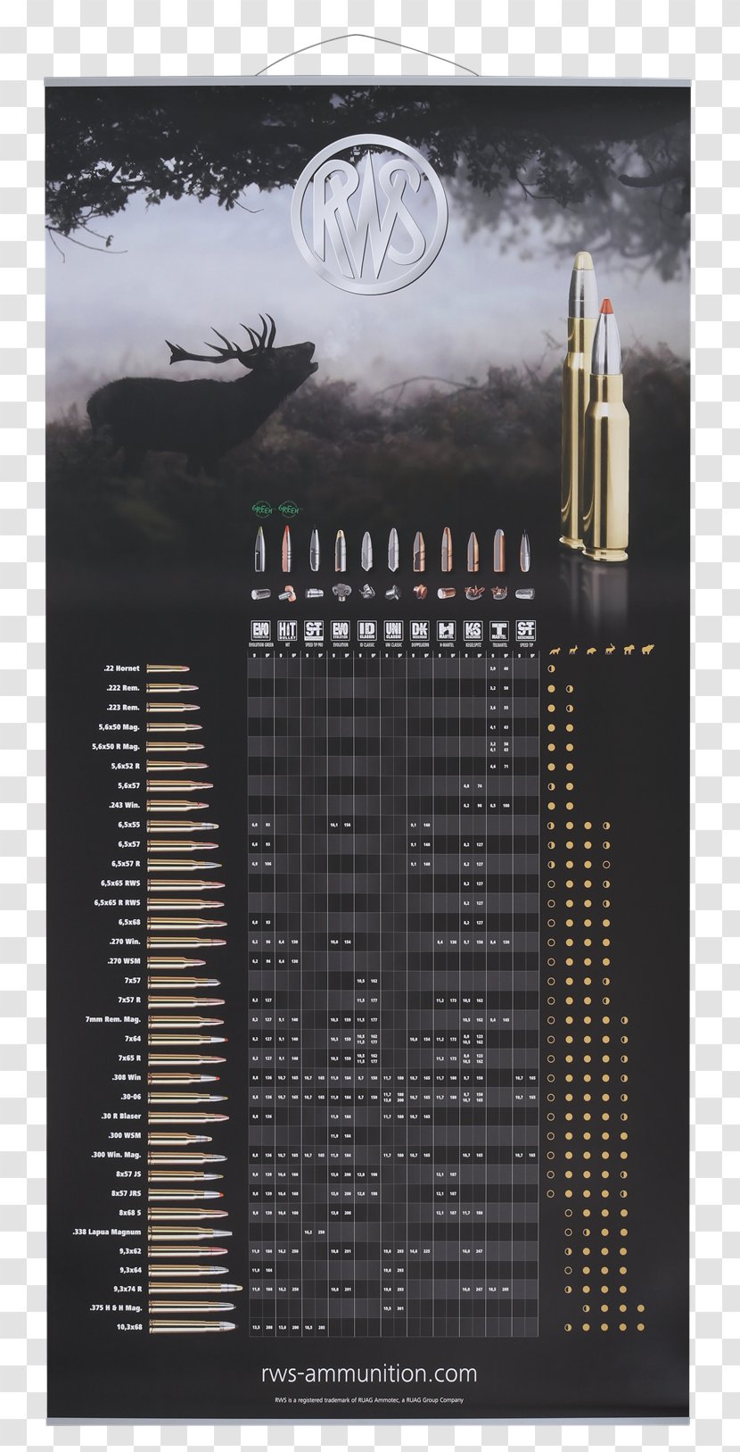 Plakat Naukowy Text Table RWS Caliber - Munition Transparent PNG