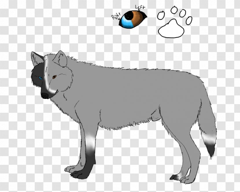 Cat Dog Red Fox Fur Line Art Transparent PNG