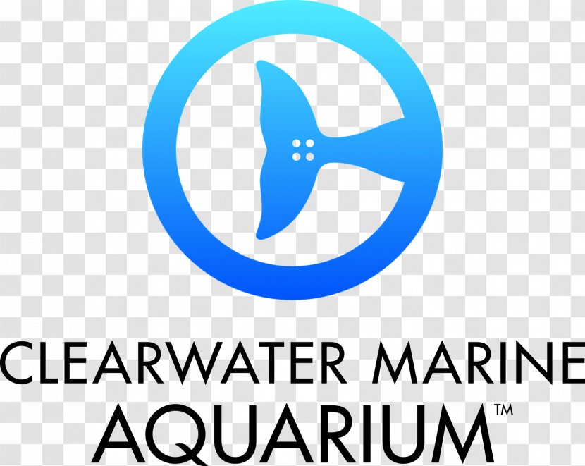 Clearwater Marine Aquarium Winter The Dolphin - Florida Transparent PNG