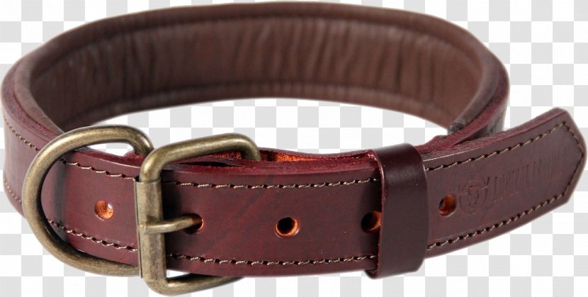 Dog Collar Leather Leash Transparent PNG