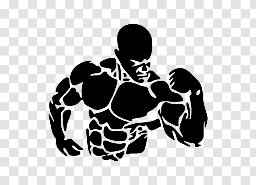 Wall Decal Sticker Bodybuilding Fitness Centre Transparent PNG