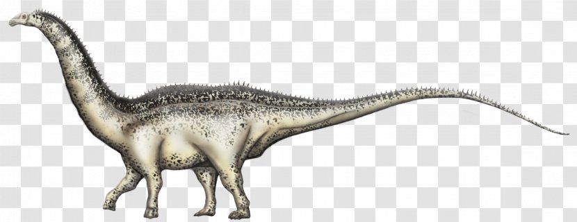 Velociraptor Tyrannosaurus Apatosaurus Dinosaur Triceratops - Extinction Transparent PNG