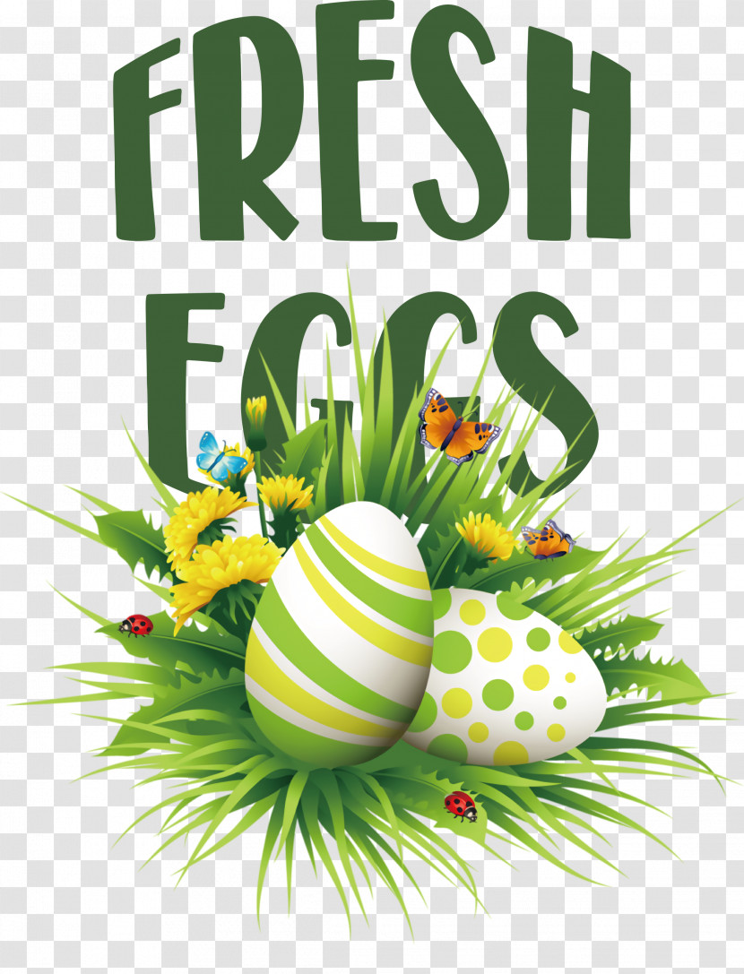 Fresh Eggs Transparent PNG