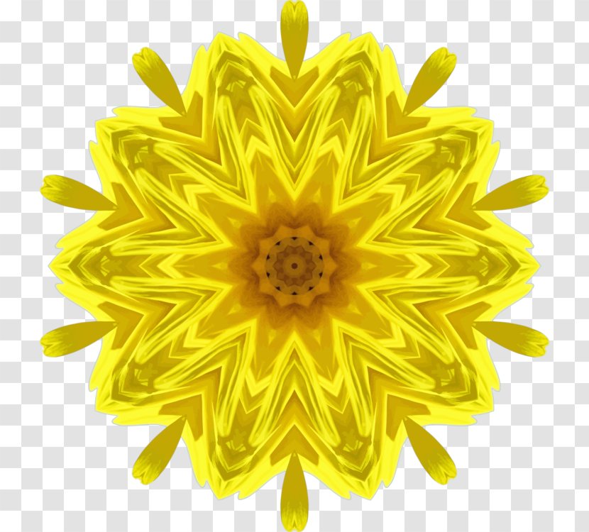 Flowers Background - Sunflower - Symmetry Pollen Transparent PNG