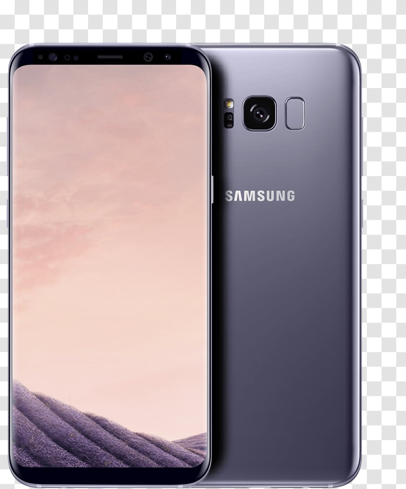 Samsung Galaxy S8+ Orchid Gray LTE Telephone Transparent PNG