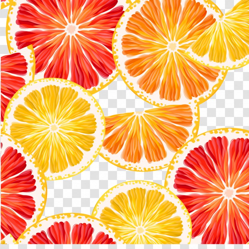 Lemon Grapefruit Orange - Food - And Sliced ​​vector Transparent PNG