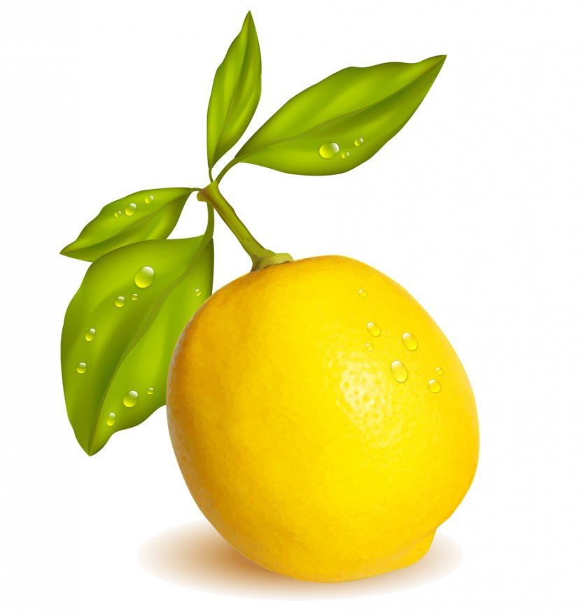 Lemon-lime Drink Fruit Sweet Lemon - Orange Transparent PNG