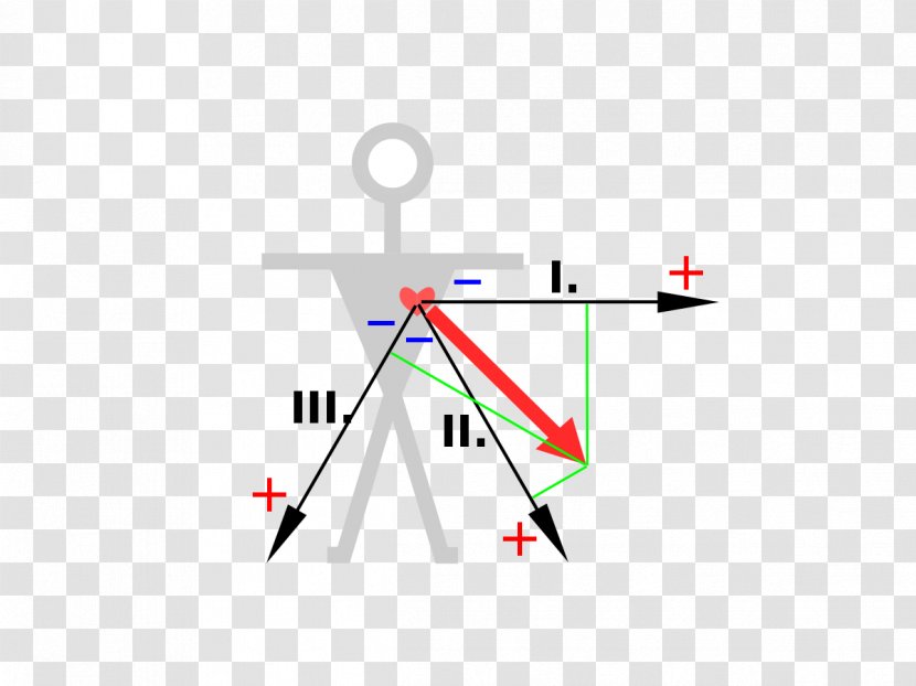 3-Lead EKG Einthoven's Triangle Electrocardiography Cardiology - Lead Transparent PNG