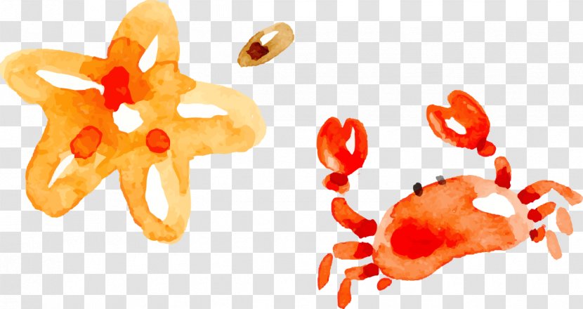 Crab Watercolor Painting - Orange - Starfish Transparent PNG