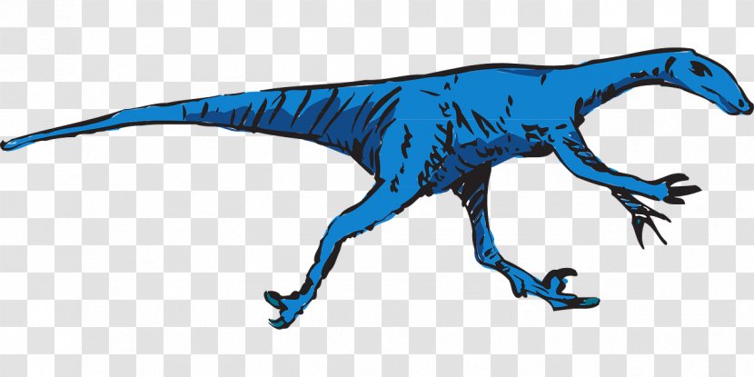 Velociraptor Tyrannosaurus Dinosaur Art: The World's Greatest Paleoart Stegosaurus - Organism Transparent PNG