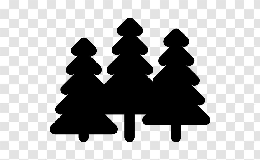 Black And White Spruce Conifer - Tent - Tree Transparent PNG