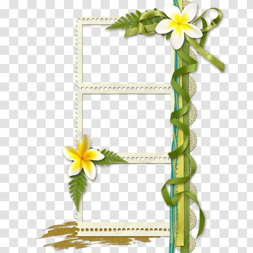 Floral Design Picture Frame Flower - Arranging - Creative Border Art Transparent PNG