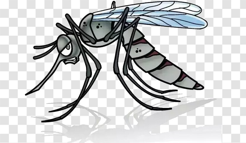 Mosquito Cartoon Illustration - A Transparent PNG