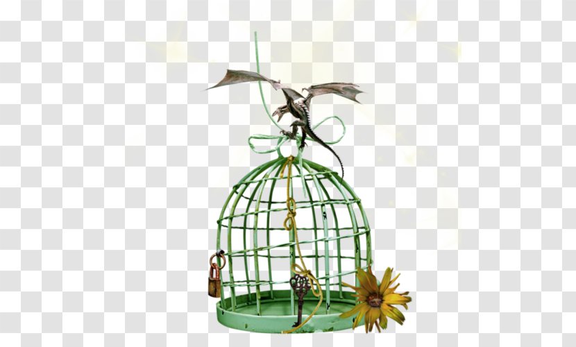 Cage Bird Cartoon - Iron - Design Transparent PNG