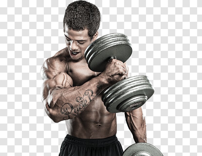 Sports Nutrition Anabolic Steroid O-Acetylpsilocin Fitness Centre - Cartoon - Gym Body Transparent PNG