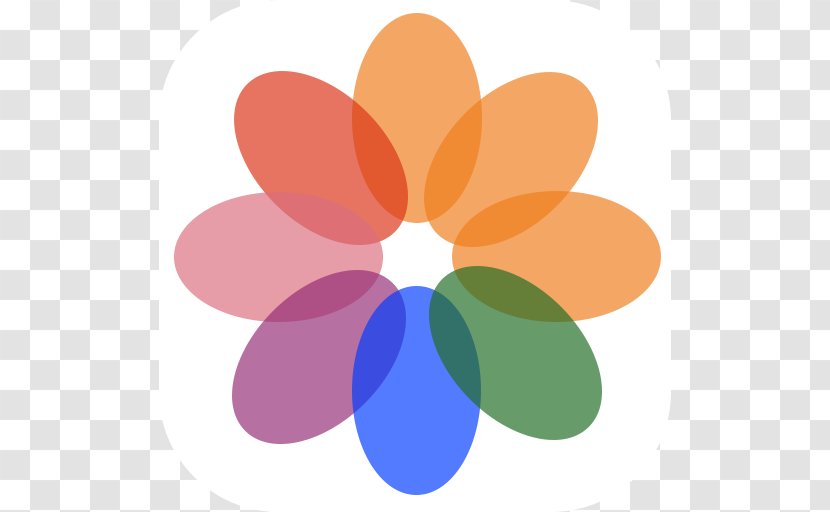 Computer Wallpaper Flower Symmetry Petal Circle - Pictures Transparent PNG