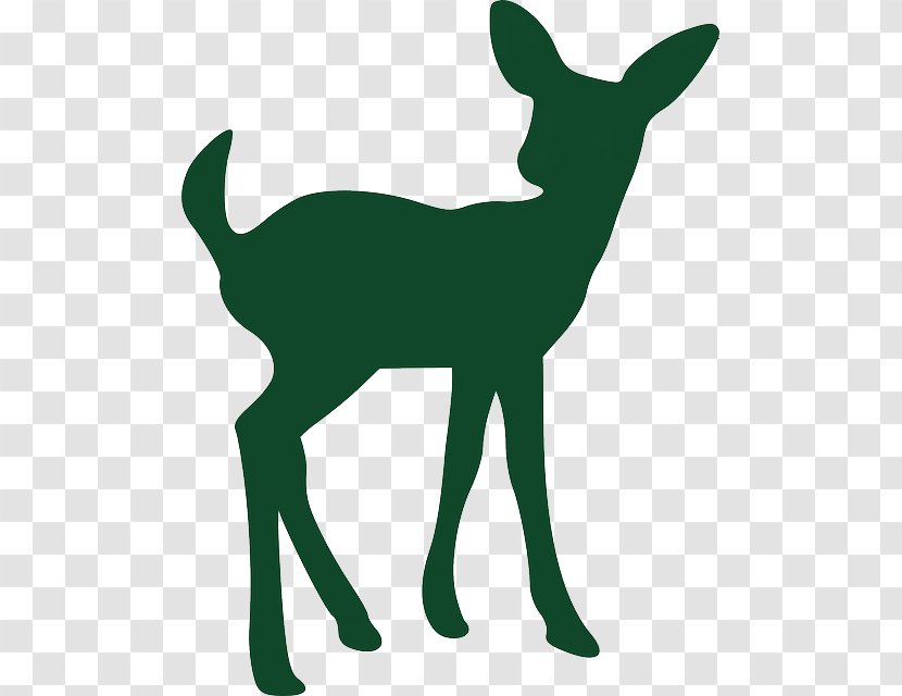 White-tailed Deer Silhouette Drawing Clip Art - Tail - Fawn Transparent PNG