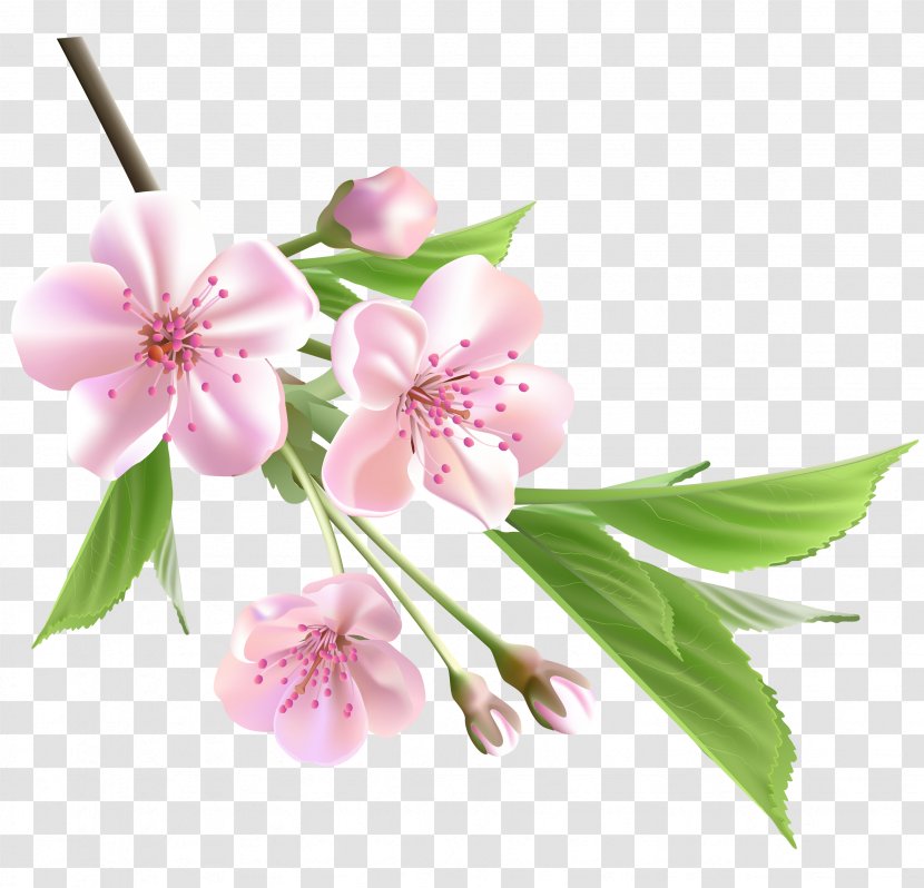 Flower Drawing Tree Clip Art - Cut Flowers - Spring Branch With Pink Clipart Transparent PNG
