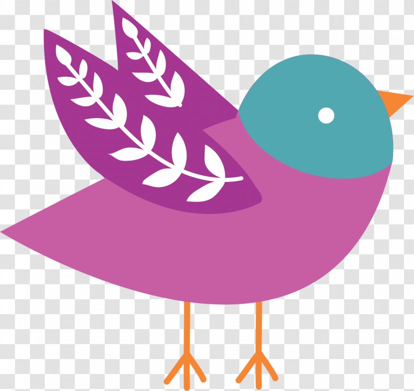 Bird - Designer - Einstein Vector Transparent PNG