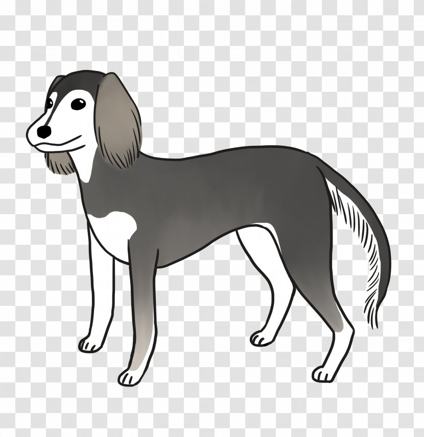 Dog Breed Saluki Italian Greyhound Companion - COO Transparent PNG