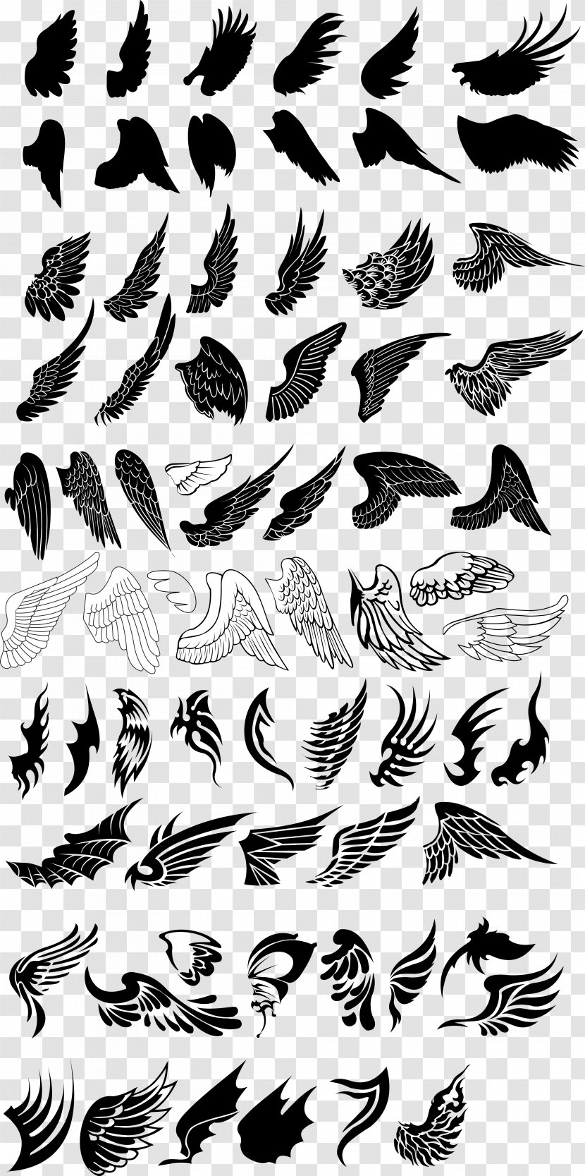 Bird Drawing Euclidean Vector - Branch - Variety Wings Collection Transparent PNG