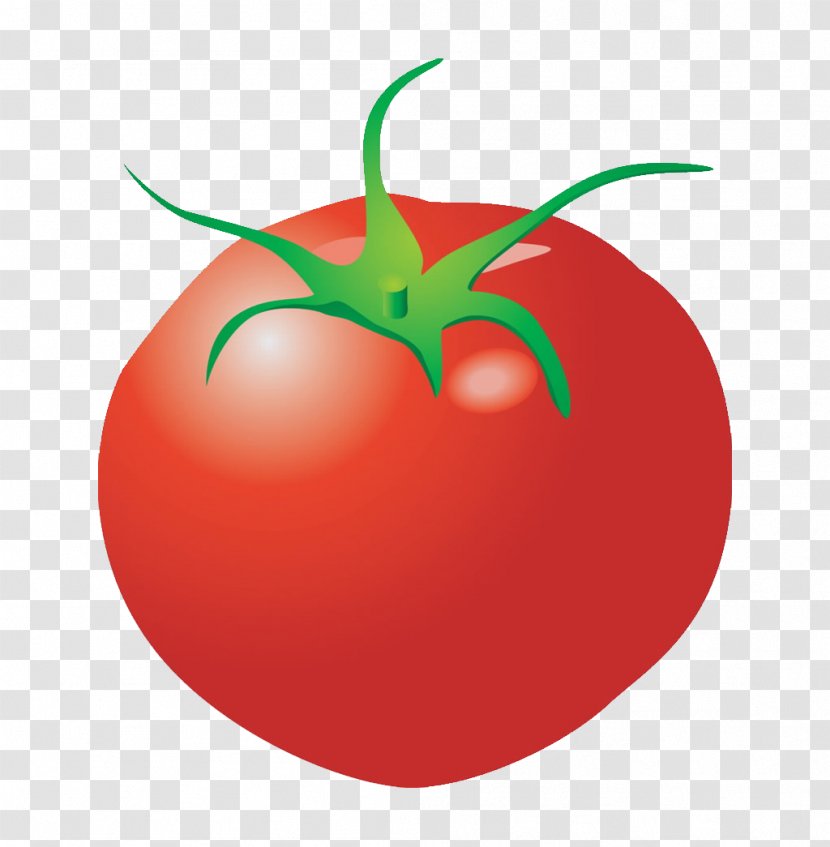 Plum Tomato Cartoon Clip Art - Stock Photography - Vegetables Tomatoes Transparent PNG