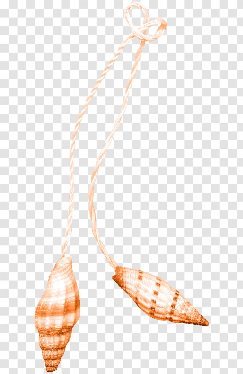 Hemp Rope /m/083vt Download Transparent PNG