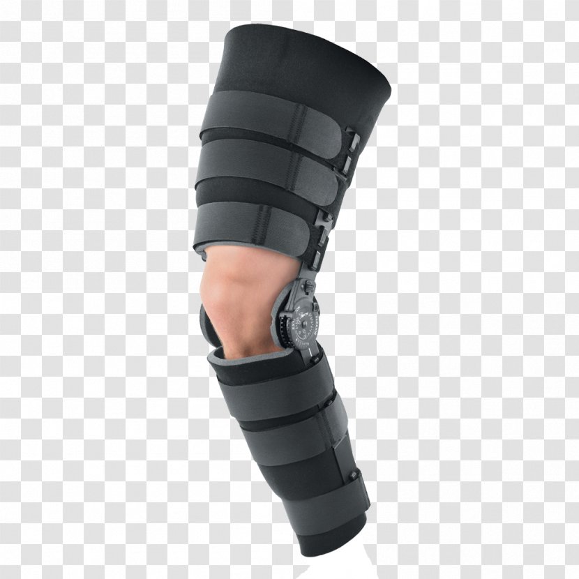 Knee Splint Ligament Orthotics Joint Dislocation - Frame - Bone Transparent PNG