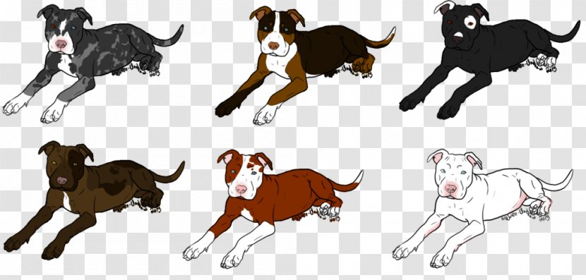Cat Bull Terrier American Bully Pit Puppy - Big Cats - Dog Transparent PNG