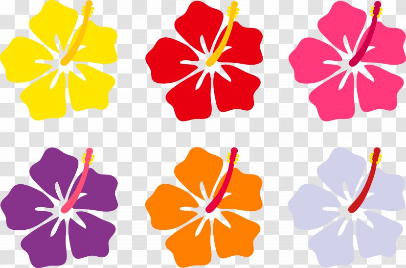 Hawaii Flower Drawing Clip Art - Floral Design - Hawaiian Cliparts Transparent PNG