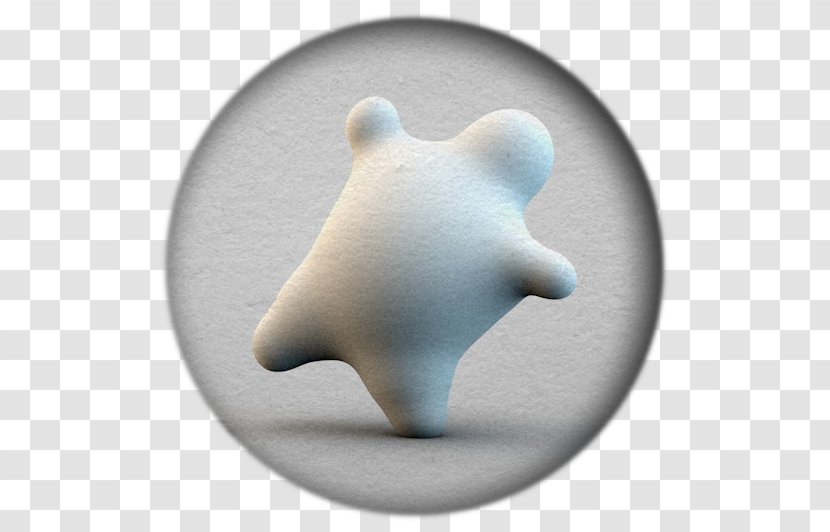 Bear - Snout Transparent PNG