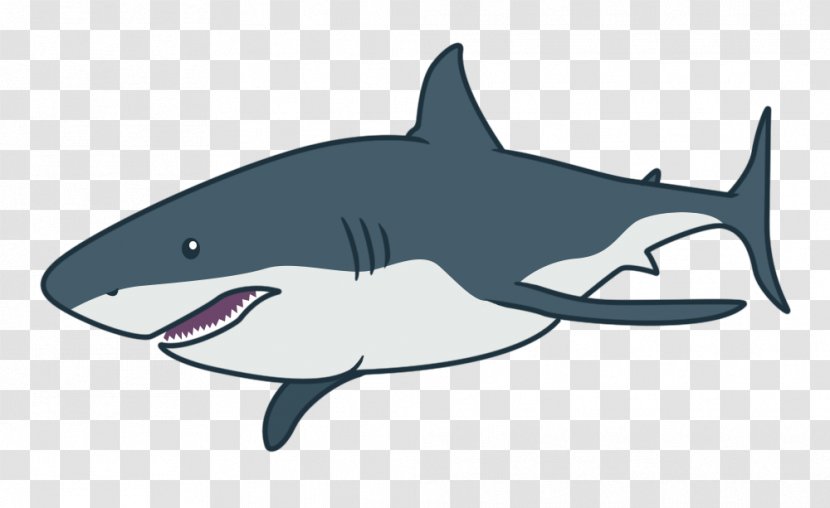 Tiger Shark Great White Squaliform Sharks Mackerel Requiem - Chaser Transparent PNG