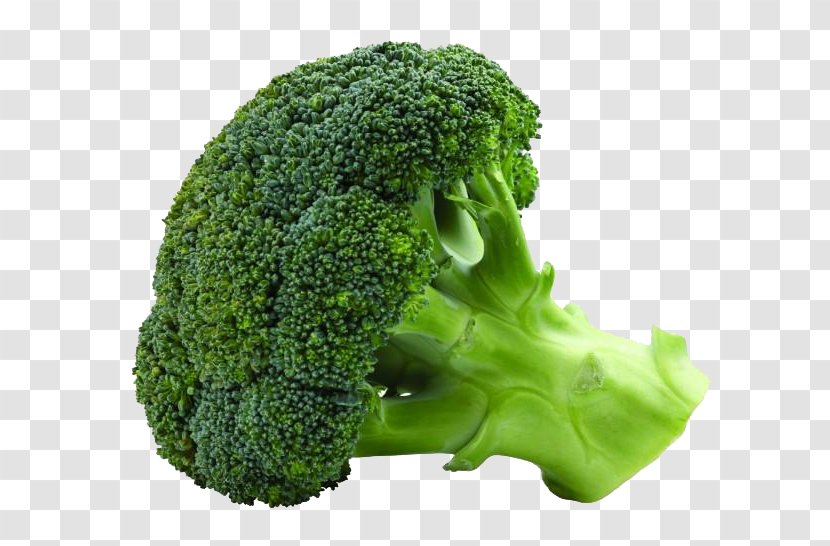 Broccoli Cauliflower Cabbage Vegetable Food - Leaf - Green Image Transparent PNG