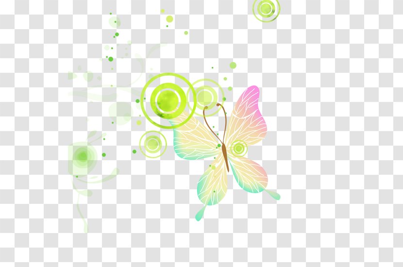 Graphic Design Text Petal Illustration - Butterfly Transparent PNG
