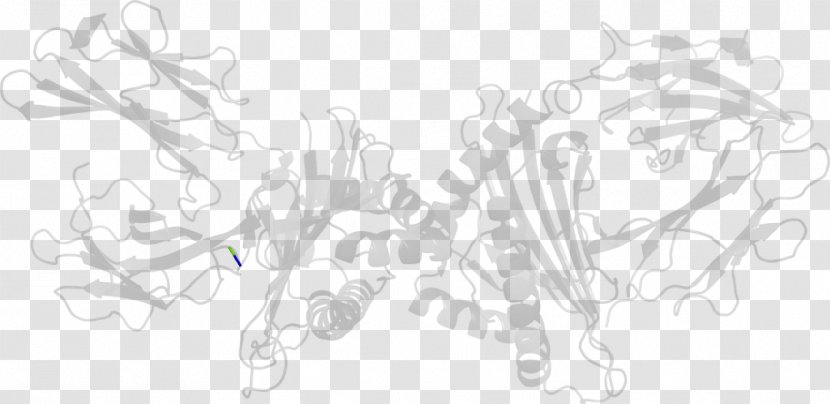 Drawing Line Art Sketch - Black And White - Beta2 Microglobulin Transparent PNG