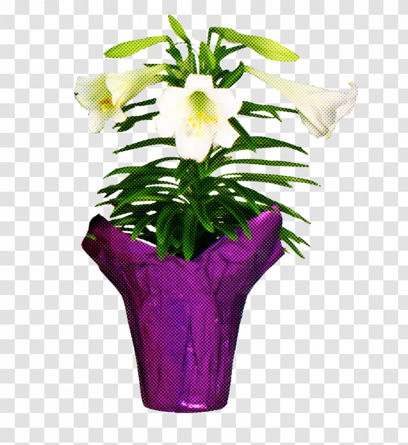 Floral Design Transparent PNG