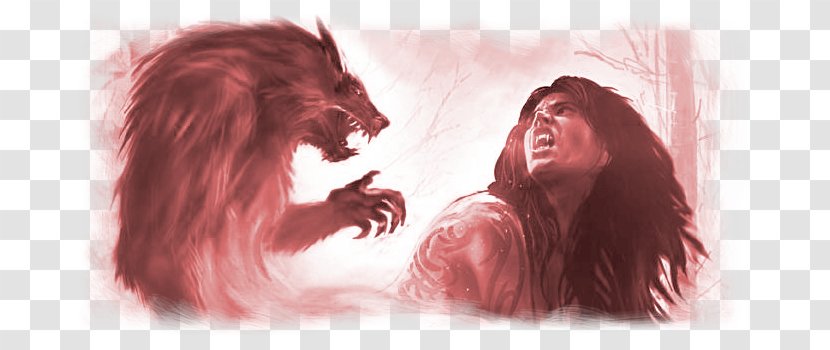 Werewolf Explore Vampires Gray Wolf Fantasy - Flower Transparent PNG