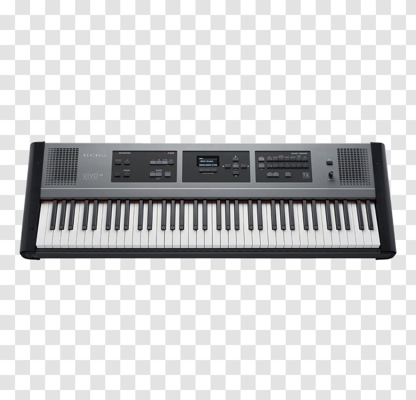 Digital Piano Stage Electronic Keyboard - Tree Transparent PNG