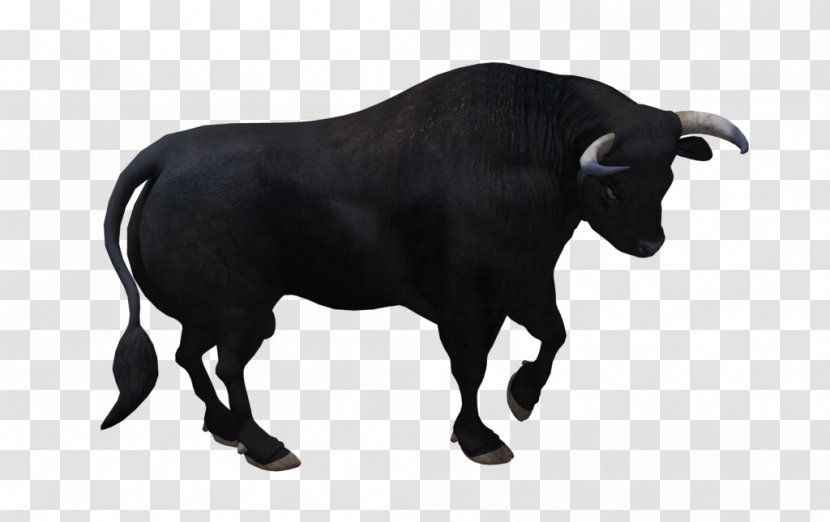 Bull Cattle - Wavefront Obj File Transparent PNG