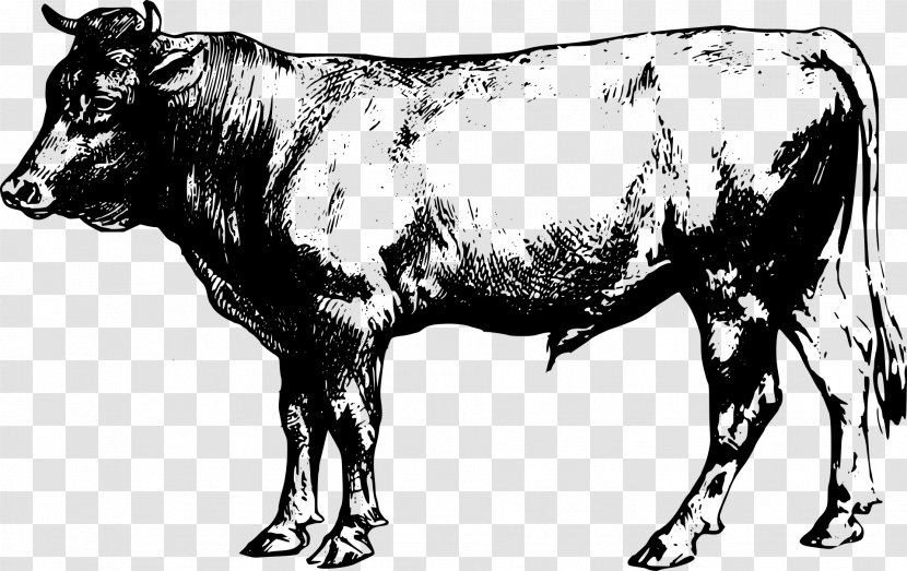 Beef Cattle Farm Livestock Clip Art - Monochrome Transparent PNG