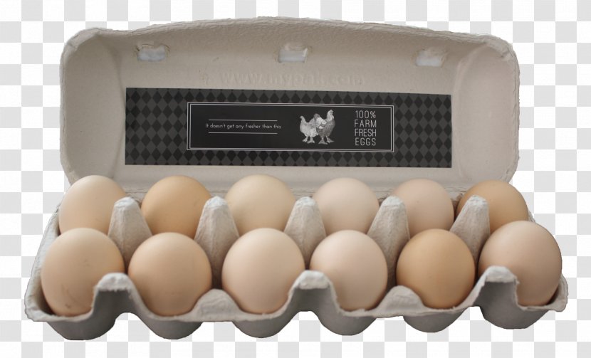 Egg - Carton Transparent PNG