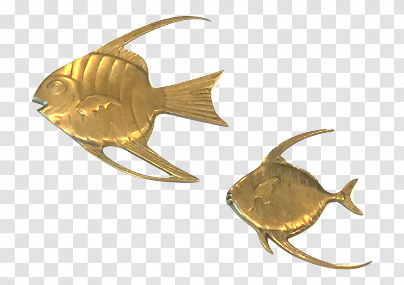 01504 Fish Transparent PNG