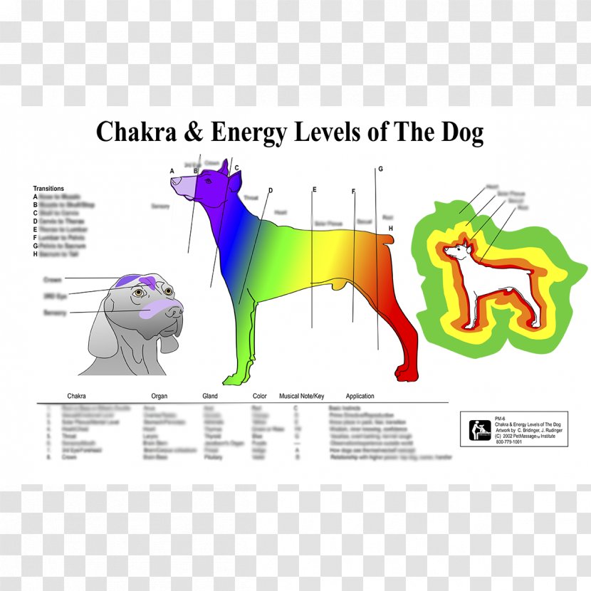 Dog Chakra Horse Pet Reiki - Like Mammal Transparent PNG